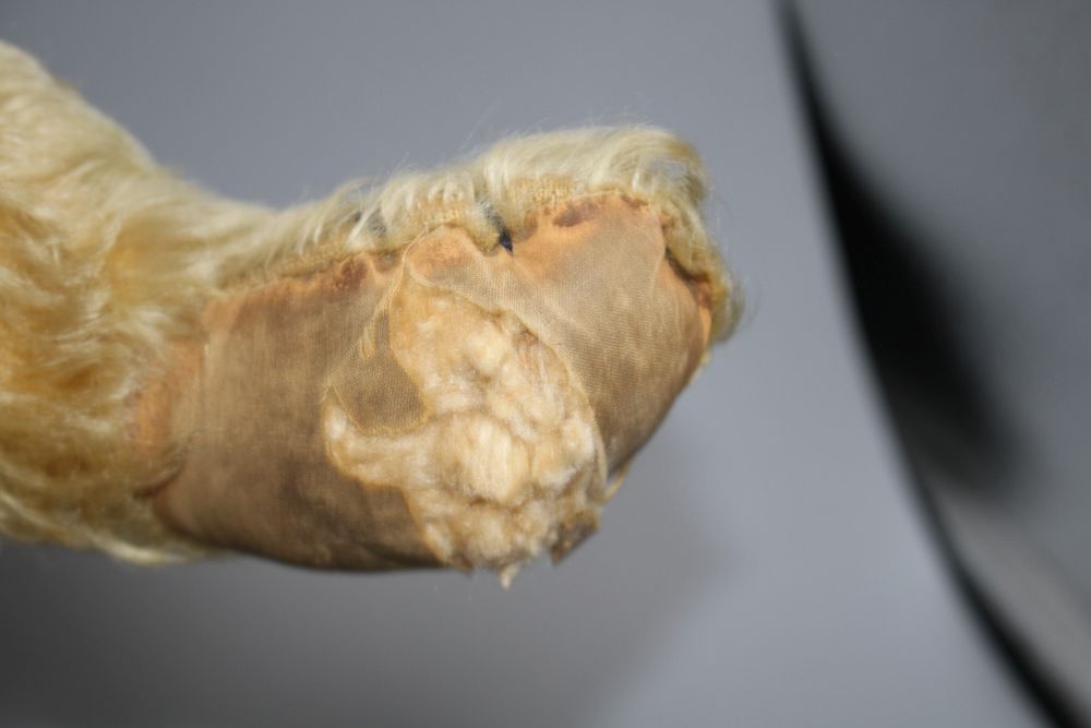 An Alpha Farnell bear, c.1950, 20in., original paw pads, one damaged, glass eyes, slight thinning to front and back of body